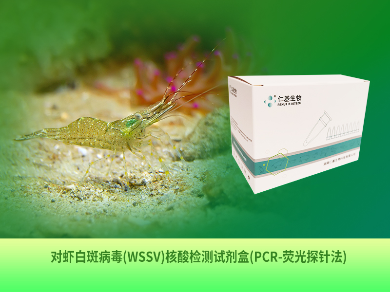 SC-R-001 對(duì)蝦白斑病毒(WSSV)