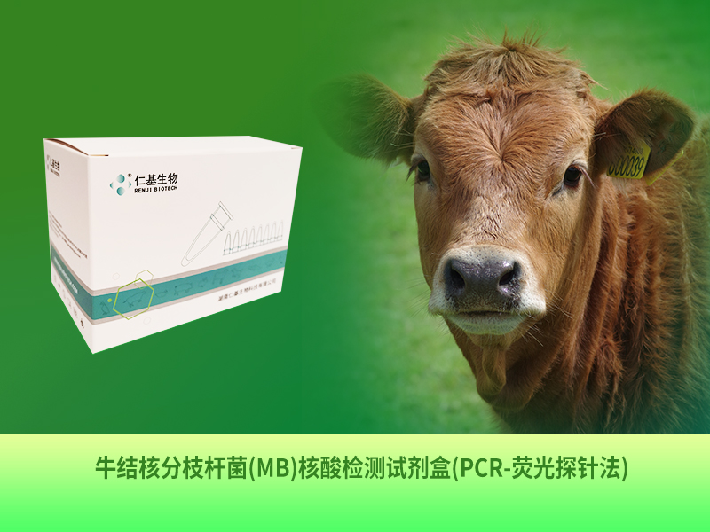 NB-D-001 牛結(jié)核分枝桿菌(MB)