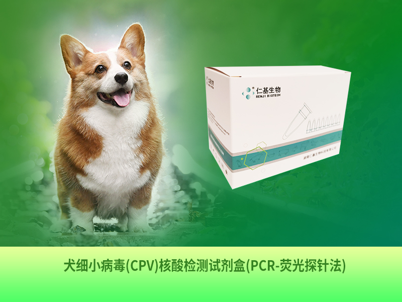 CW-D-002 犬細(xì)小病毒(CPV)