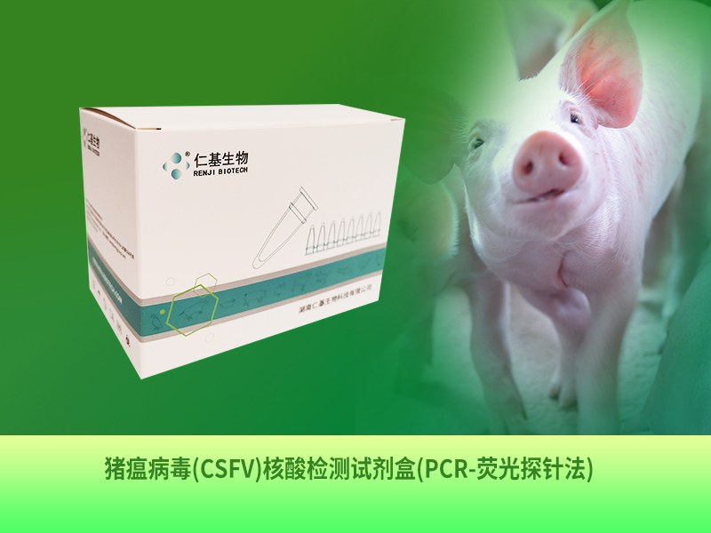 ZB-R-001 豬瘟病毒(CSFV)