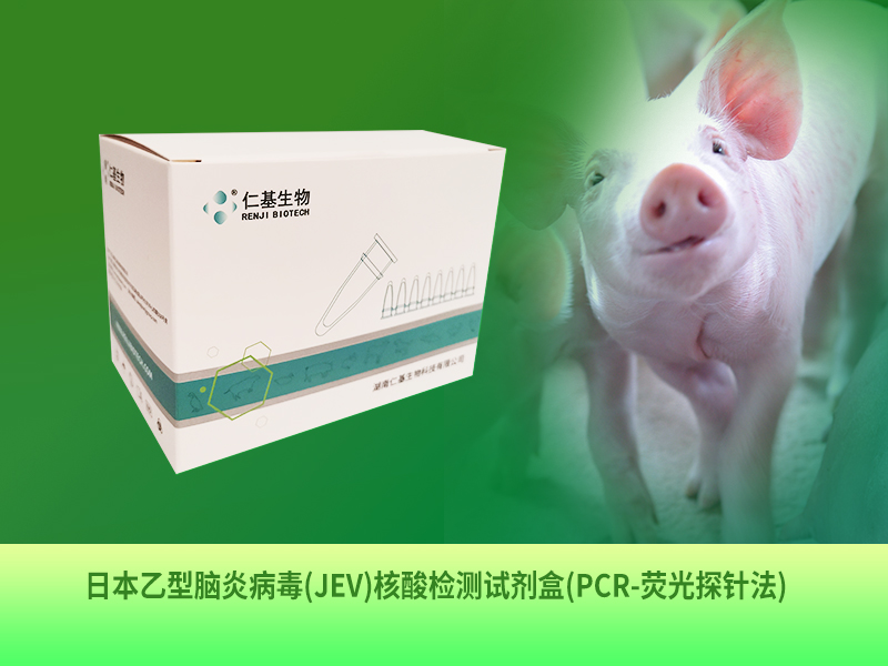 ZB-R-002 日本乙型腦炎病毒(JEV)